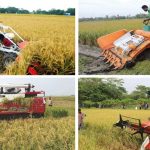 পরিবর্তনশীল কৃষির চ্যালেঞ্জ মোকাবিলায় তথ্য প্রযুক্তির ব্যবহার