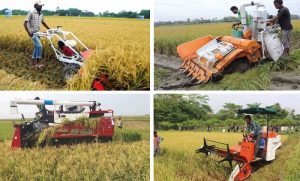 পরিবর্তনশীল কৃষির চ্যালেঞ্জ মোকাবিলায় তথ্য প্রযুক্তির ব্যবহার
