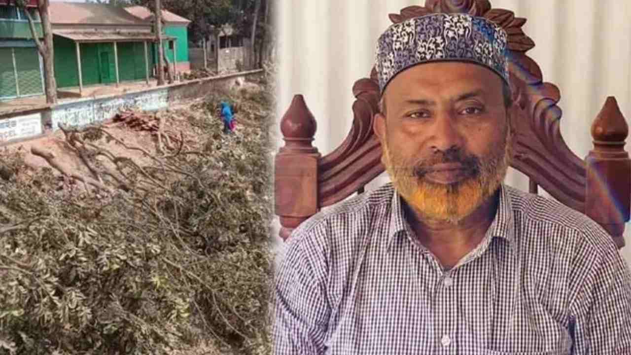 গাছ কাটার অভিযোগে বিএনপি নেতা বহিষ্কার, পরে গ্রেপ্তার